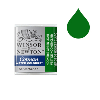 Winsor & Newton Cotman aquarelle (demi-godet) - 314 vert de Hooker clair 301314 410482