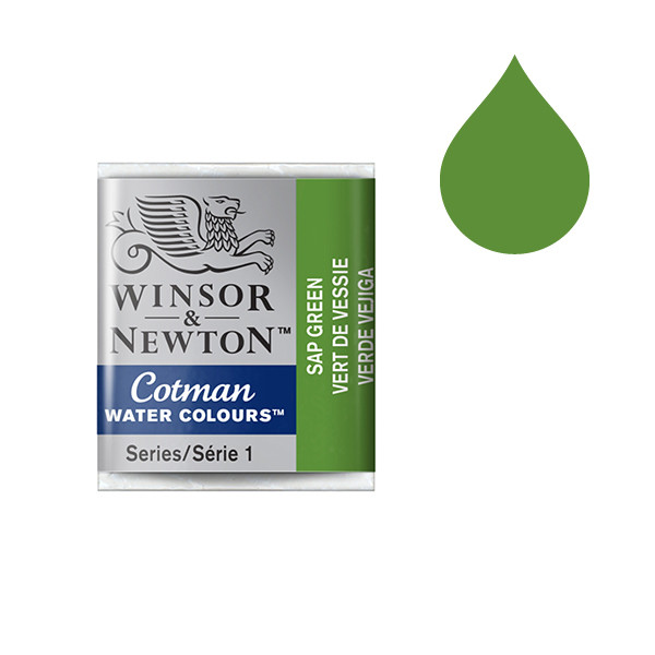 Winsor & Newton Cotman aquarelle (demi-godet) - 599 vert de vessie 301599 410499 - 1