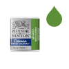 Winsor & Newton Cotman aquarelle (demi-godet) - 599 vert de vessie