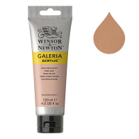 Winsor & Newton Galeria peinture acrylique (120 ml) - 257 rose pâle 2131257 410135