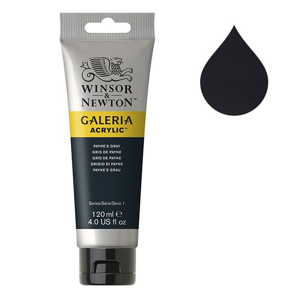Winsor & Newton Galeria peinture acrylique (120 ml) - 465 gris de Payne 2131465 410152 - 1