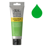 Winsor & Newton Galeria peinture acrylique (120 ml) - 483 vert permanent clair 2131483 410155