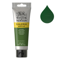 Winsor & Newton Galeria peinture acrylique (120 ml) - 599 vert de vessie 2131599 410170