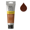 Winsor & Newton Galeria peinture acrylique (120 ml) - 74 terre de Sienne brûlée