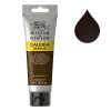 Winsor & Newton Galeria peinture acrylique (120 ml) - 76 terre d'ombre brûlée