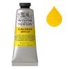 Winsor & Newton Galeria peinture acrylique (60 ml) - 120 nuance de jaune de cadmium moyen