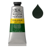 Winsor & Newton Galeria peinture acrylique (60 ml) - 311 vert hooker