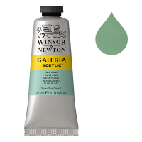 Winsor & Newton Galeria peinture acrylique (60 ml) - 435 olive pâle 2120435 410028