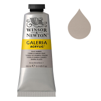 Winsor & Newton Galeria peinture acrylique (60 ml) - 438 terre d'ombre pâle 2120438 410030