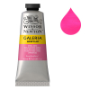 Winsor & Newton Galeria peinture acrylique (60 ml) - 448 rose opéra