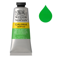 Winsor & Newton Galeria peinture acrylique (60 ml) - 483 vert permanent clair 2120483 410035