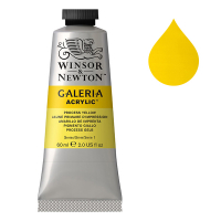 Winsor & Newton Galeria peinture acrylique (60 ml) - 537 jaune primaire d'impression 2120537 410044