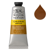 Winsor & Newton Galeria peinture acrylique (60 ml) - 552 terre de Sienne naturelle