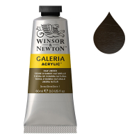 Winsor & Newton Galeria peinture acrylique (60 ml) - 554 terre d'ombre naturelle 2120554 410048