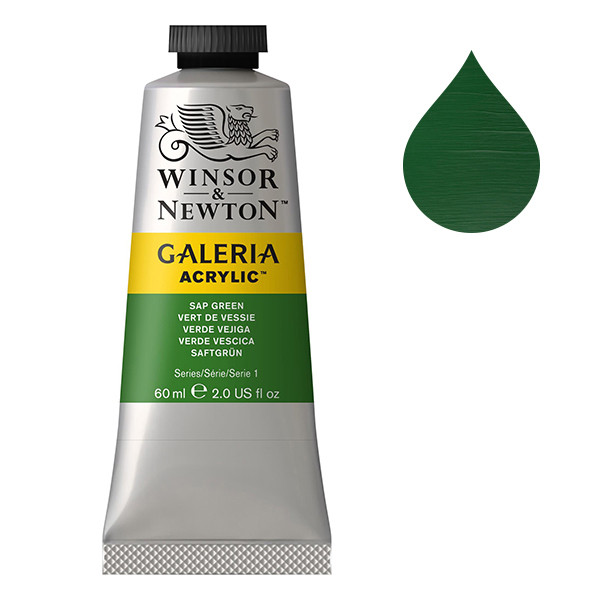 Winsor & Newton Galeria peinture acrylique (60 ml) - 599 vert de vessie 2120599 410050 - 1