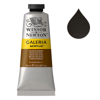 Winsor & Newton Galeria peinture acrylique (60 ml) - 676 brun Van Dyck 2120676 410055