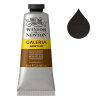 Winsor & Newton Galeria peinture acrylique (60 ml) - 676 brun Van Dyck
