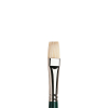 Winsor & Newton Winton pinceau broose plate courte pour peinture à l'huile (numéro 8) 5973708 410453