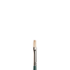 Winsor & Newton Winton pinceau brosse plate pour peinture à l'huile (numéro 2) 5974702 410437