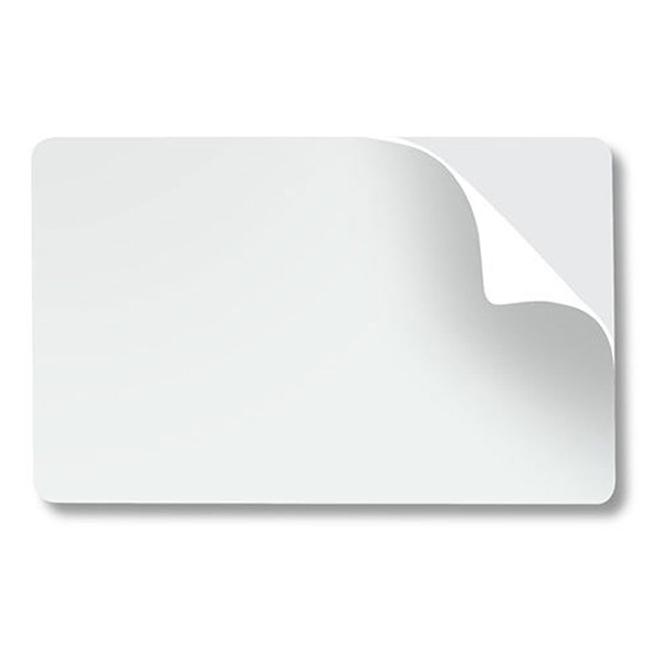 Zebra 104523-010 cartes PVC (500 pièces) - blanc 104523-010 141570 - 1