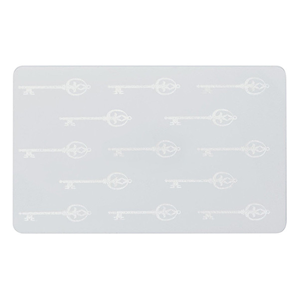 Zebra 104524-123 cartes composites (500 pièces) - blanc 104524-123 141608 - 1