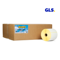 Marque 123encre remplace Zebra Z-Perform 1000T étiquettes GLS (800294-605) 102 x 152 mm (12 rouleaux) 653239