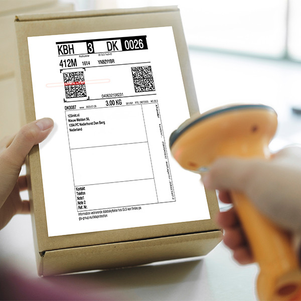 Marque 123encre remplace Zebra Z-Select 2000D étiquettes GLS (800264-605) 102 x 152 mm (12 rouleaux) 653238 - 3