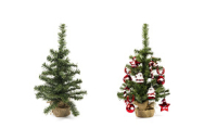 Petits sapins de Noël