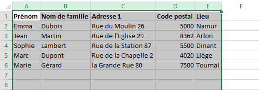 Screenshot van dikgedrukte kolomtitels met daaronder adresgegevens en een rode cirkel op een scheidingslijn in Excel